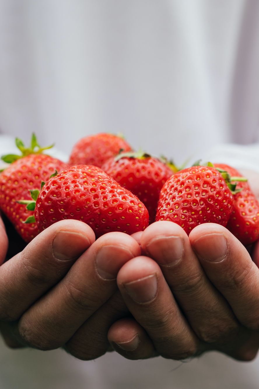 summer foods two hands holding strawberries
