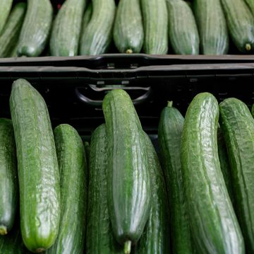 top view, various type of cucumbers on plastic basket of stall.