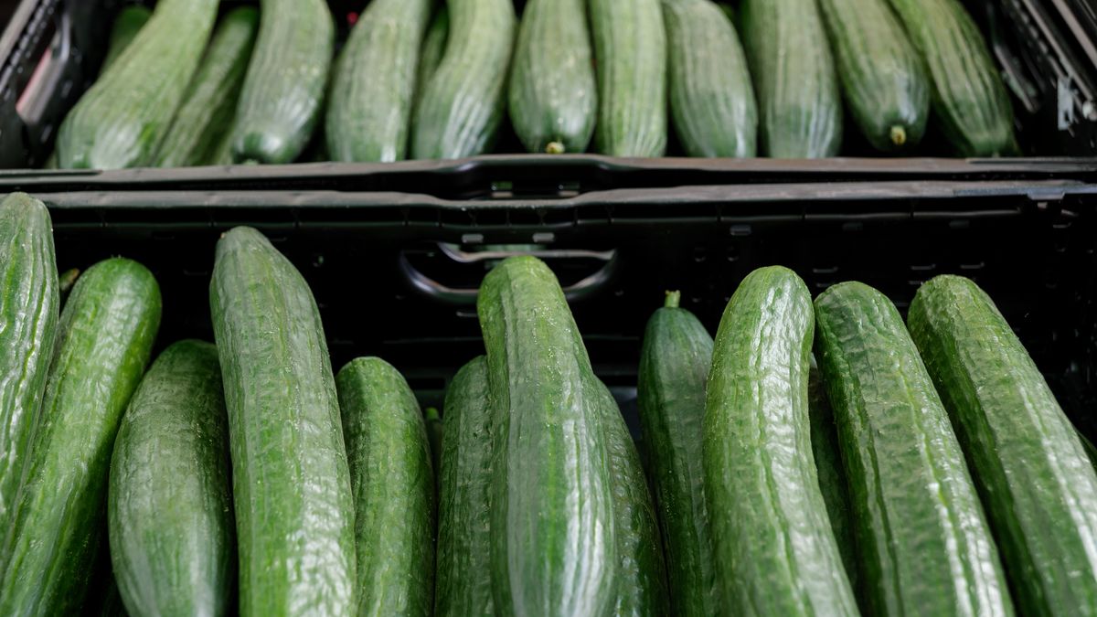 preview for Everything to Know About FDA Recalls