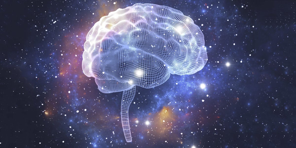 This Is Your Brain (and Body) on Space