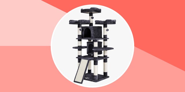 cat tree