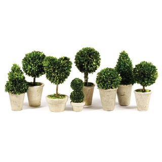 series of small topiaries in pots