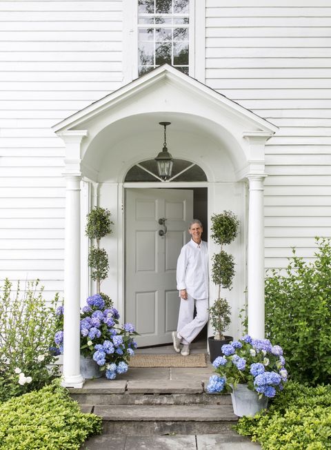 topiary and hydrangea front porch landscaping idea