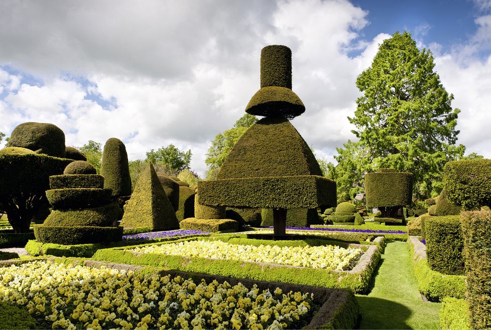 topiary-garden-levens-hall-manor