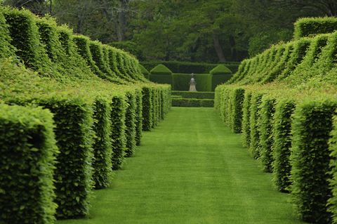 topiary-garden-manor-d'eyrignac