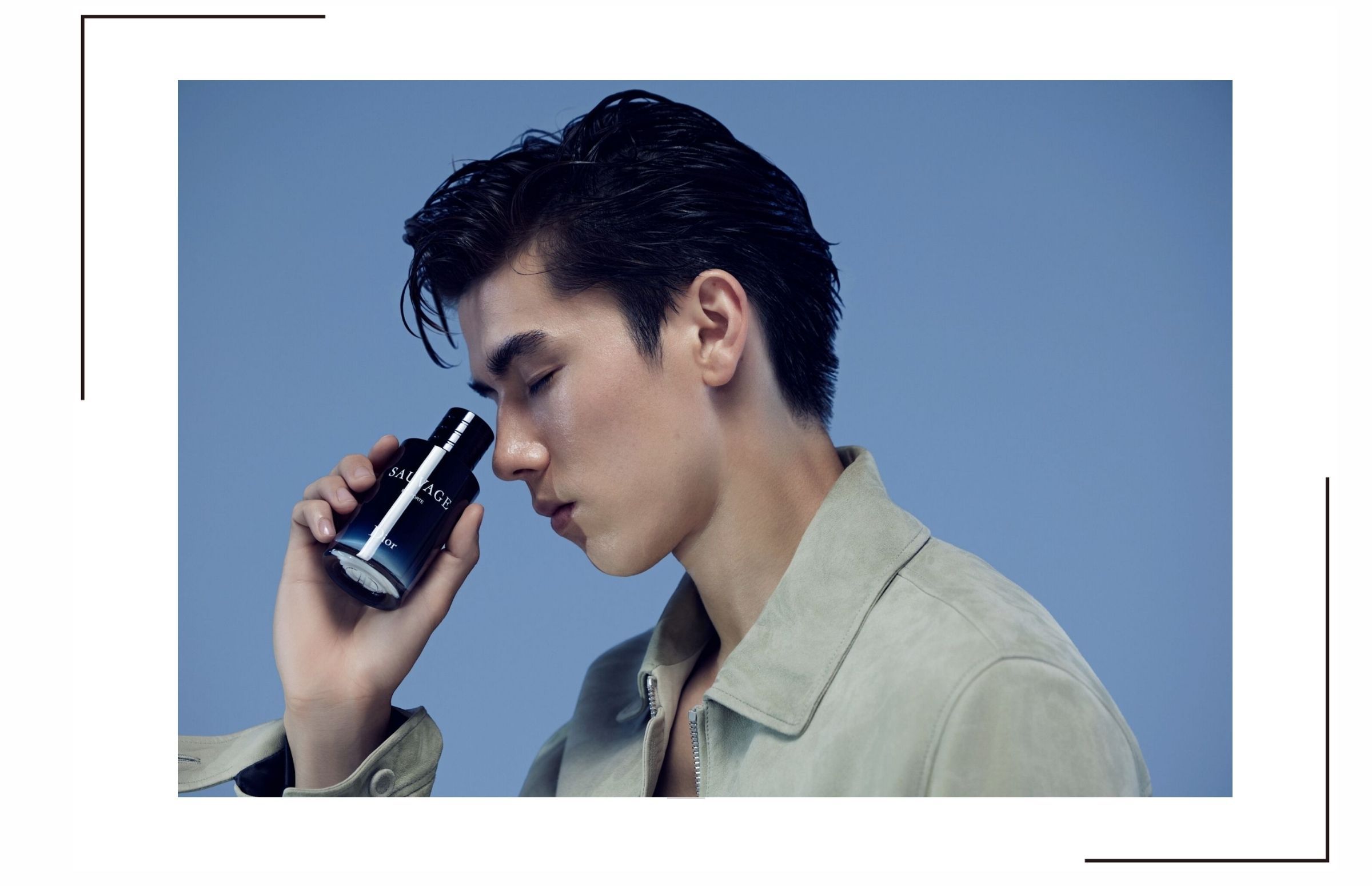 toptop-top-66f4efc086dac.jpg