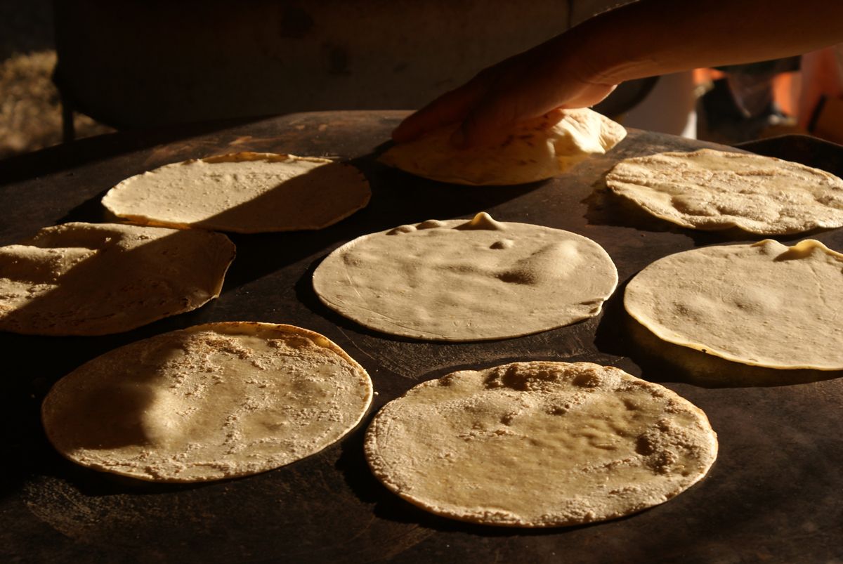 Tortillas di mais: la ricetta del tipico pane messicano