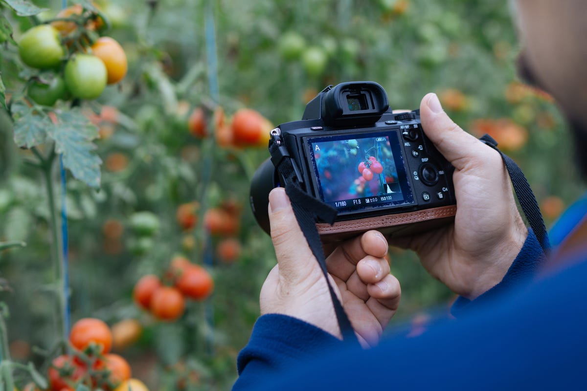 Migliore macchina fotografica: guida all'acquisto (2024)