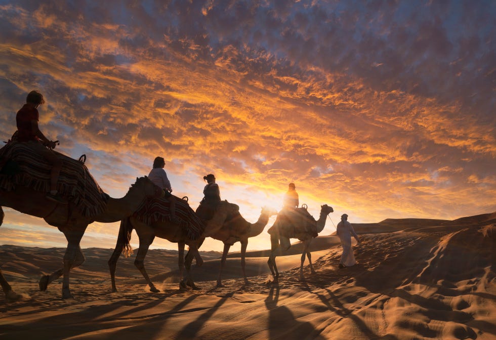 tourists on camels in the desert at sunset