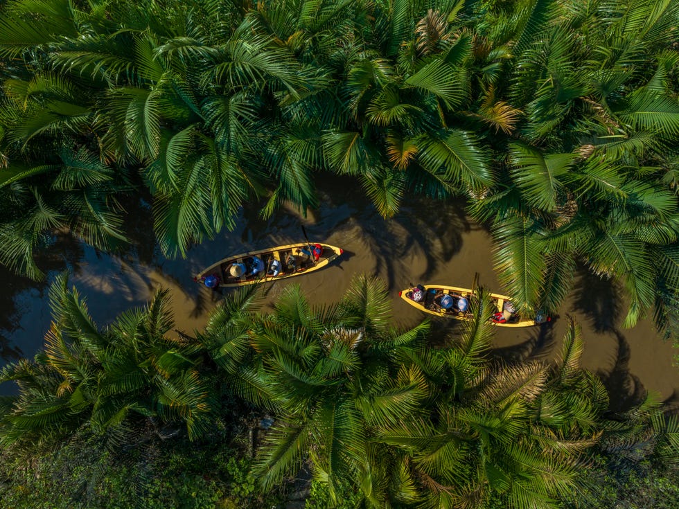 tourists rowing boats to enjoy the scenery in the middle of the water coconut forest, tien giang province