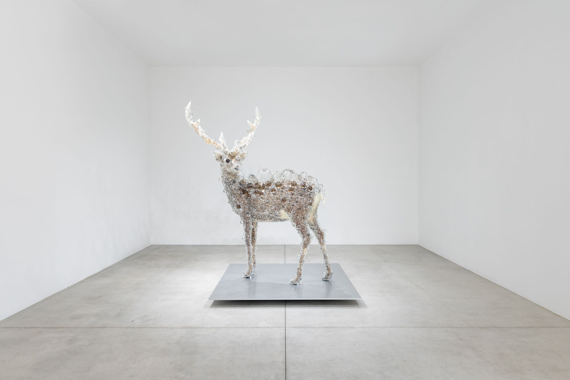 名和晃平の国内10年ぶりとなる個展、十和田市現代美術館で開催