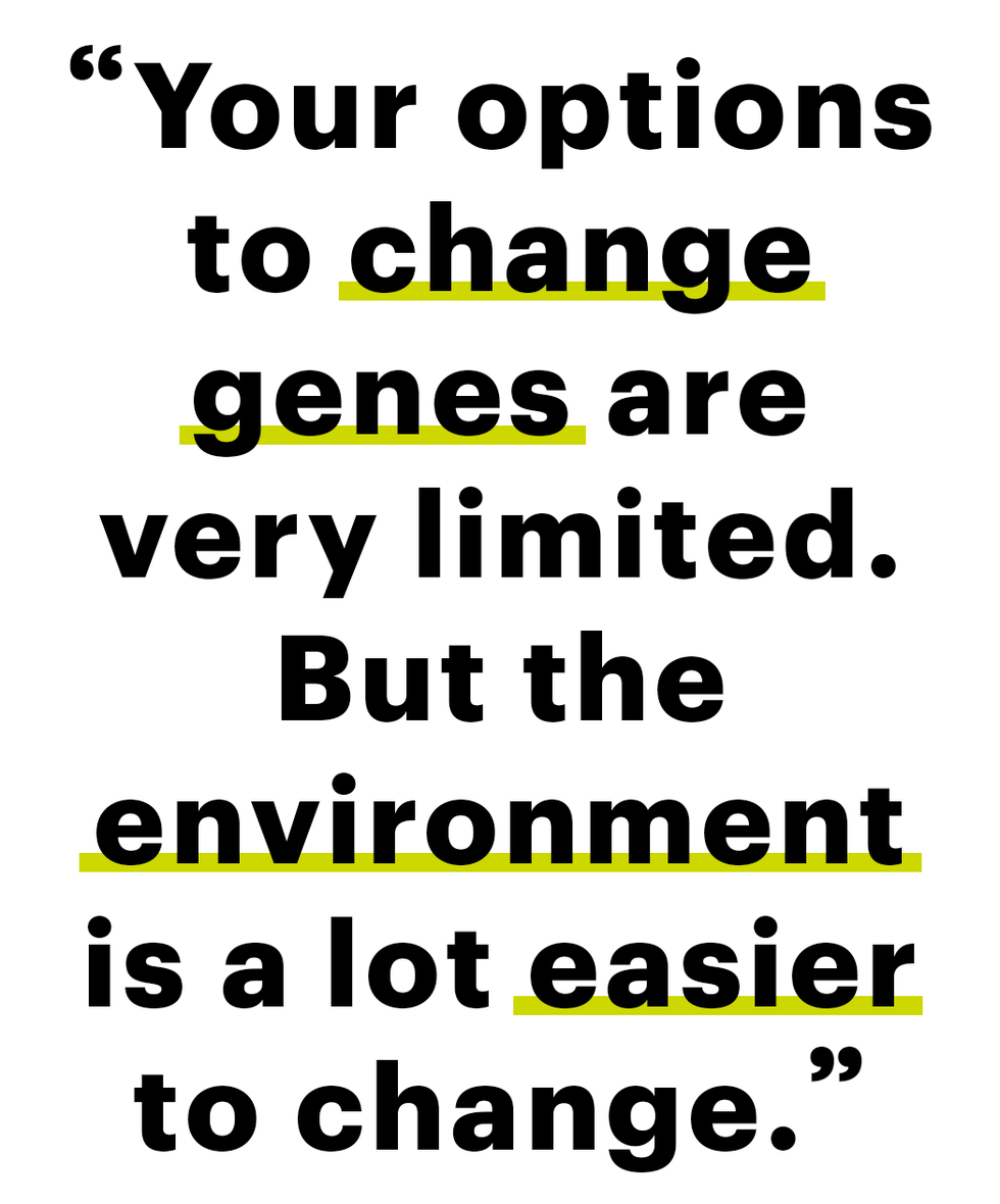 “your options to change genes are very limited but the environment is a lot easier to change”