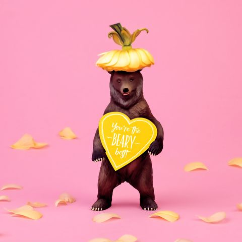 toy bear with heart and flower