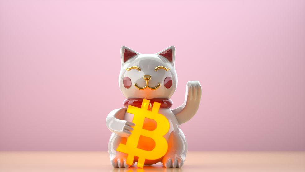 toy cat holding glowing bitcoin sign