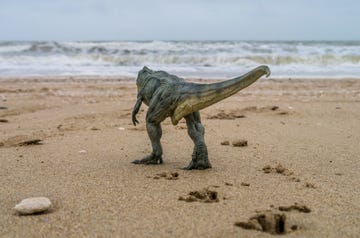 toy dinosaur on beach