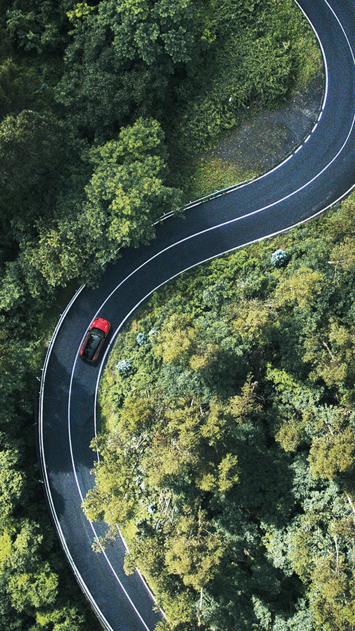 It Looks Like Toyota Will Reveal the New RAV4 Before May Ends