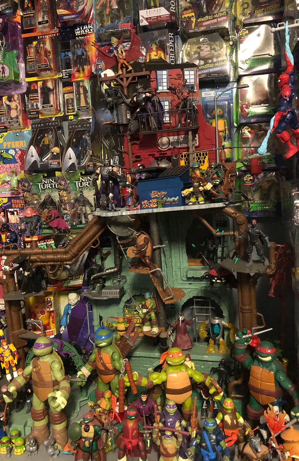 brandon's collection of ninja turtles