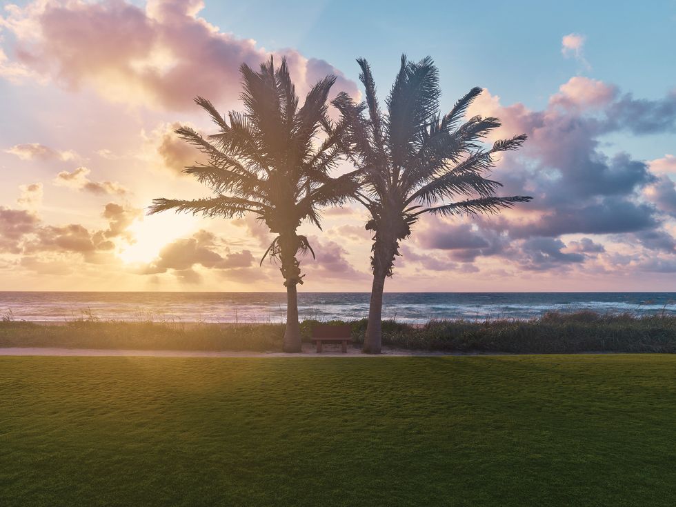 palm beach par 3 golf course