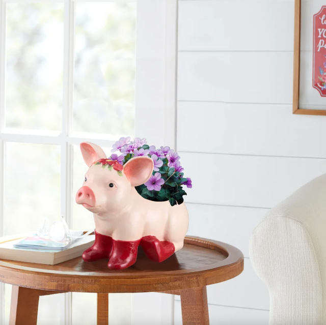 the pioneer woman pig planter at walmart