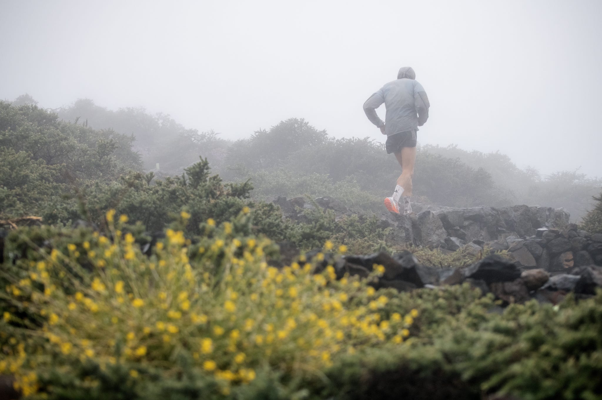 transvulcania