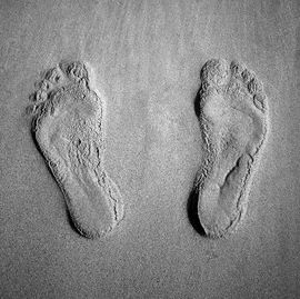 tracks