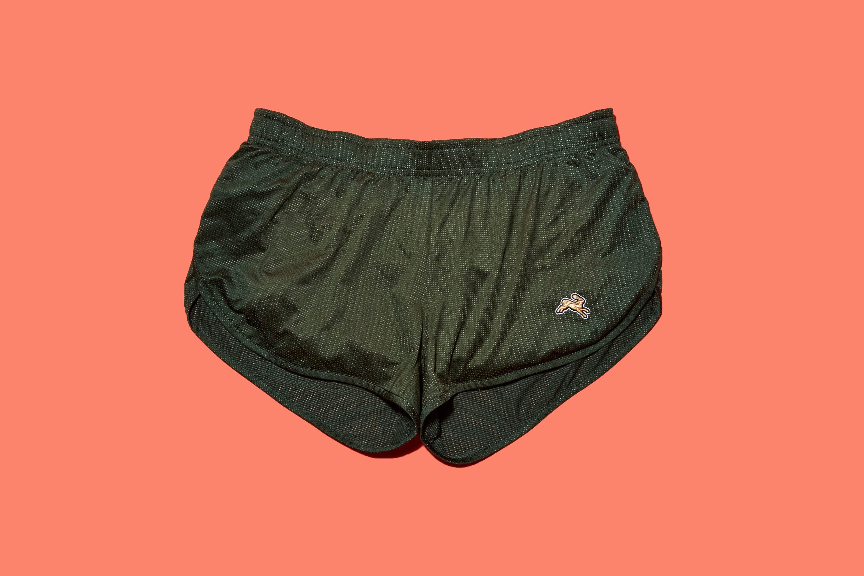 Clothing, Briefs, Underpants, Undergarment, Shorts, Swim brief, Trunks, Undergarment, Swim brief, Meadow, 