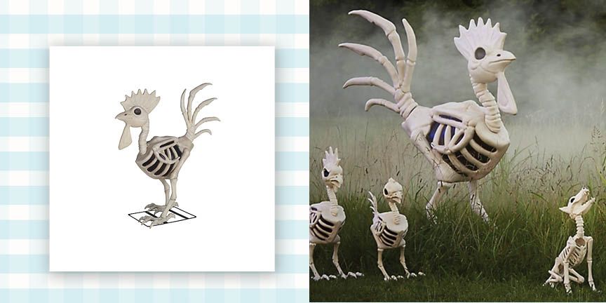 Spooktacular Chicken Skeleton Halloween Decoration Ideas