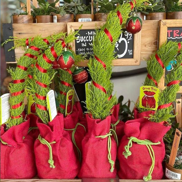 Trader Joe’s Is Selling GrinchInspired Christmas Trees That Will Cheer