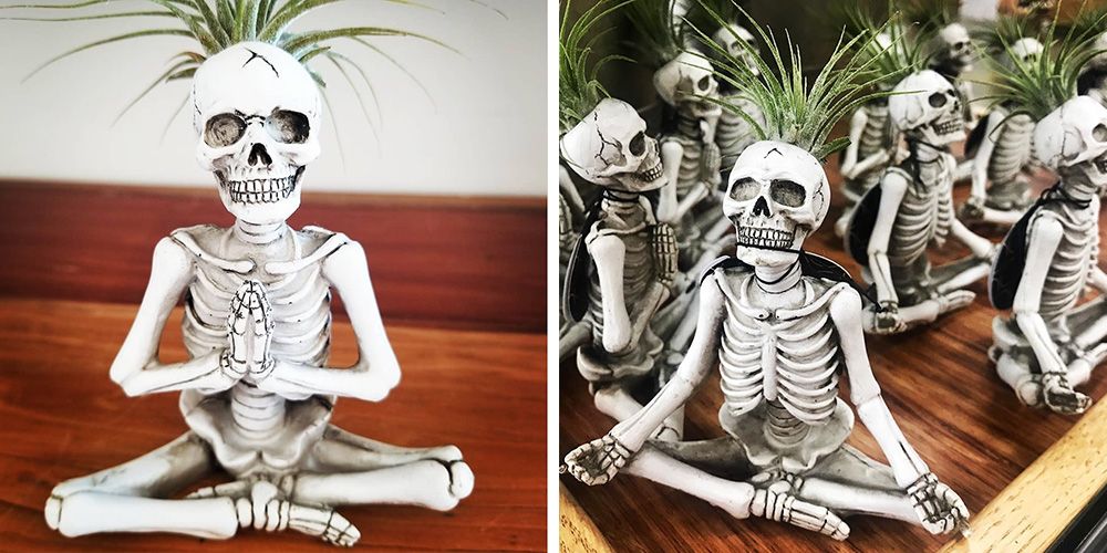 https://hips.hearstapps.com/hmg-prod/images/trader-joes-yoga-skeleton-plants-social-1567519646.jpg