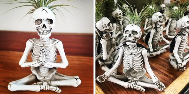 You Can Get Yoga Skeleton Plants for $6 at Trader Joe's This Halloween