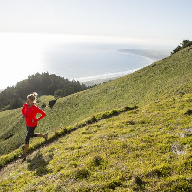 trail running above the ocean.