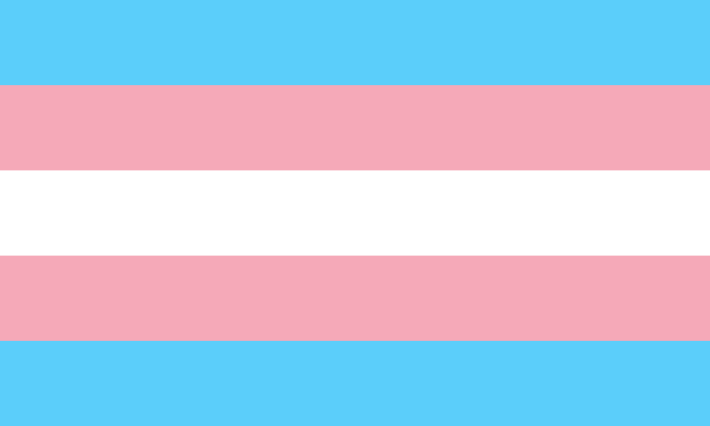 bandera orgullo trans