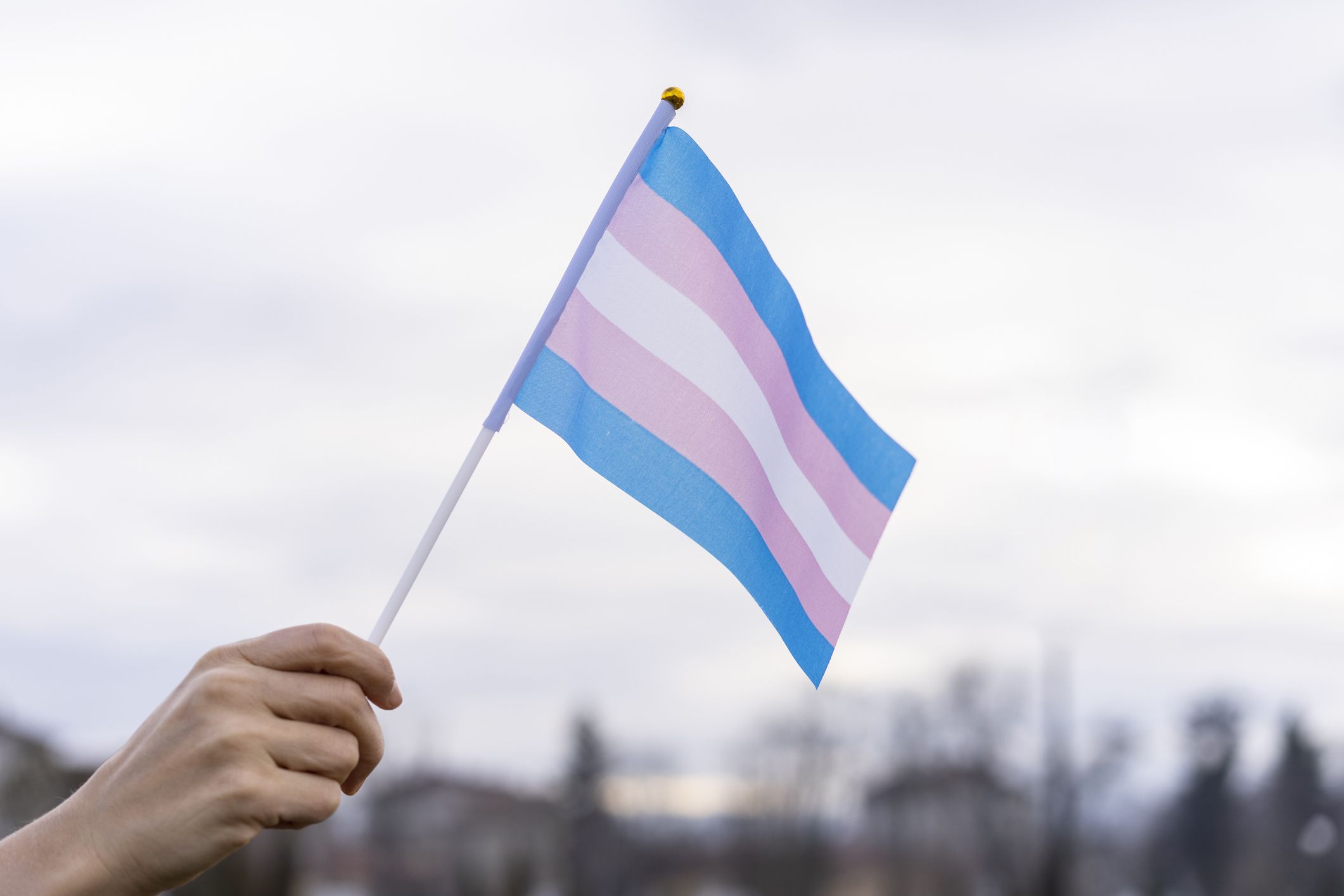 The History of the Transgender Flag