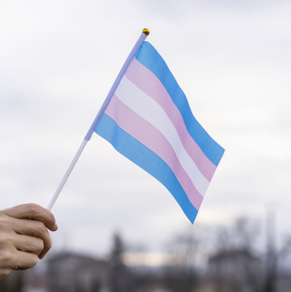 Transgender Mermaid Sports Bra Trans Pride Flag Colors Mermaid