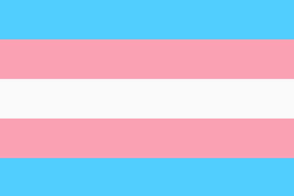 transgender pride flag on transparent background
