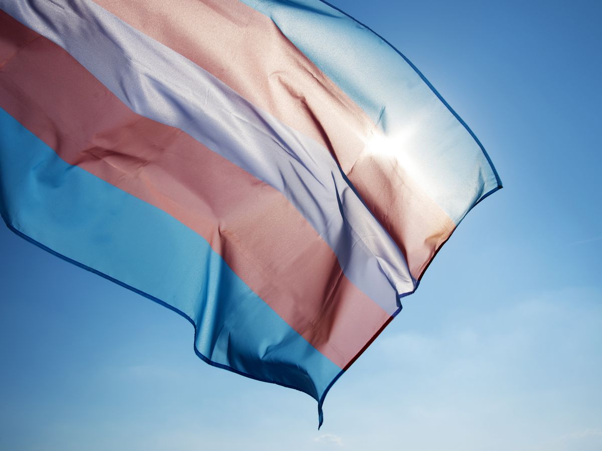 Trans Flag: The Meaning Behind the Transgender Pride Flag and Colors