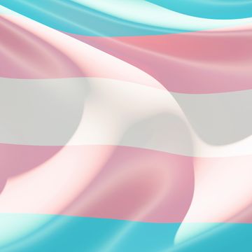 transgender pride flag waving