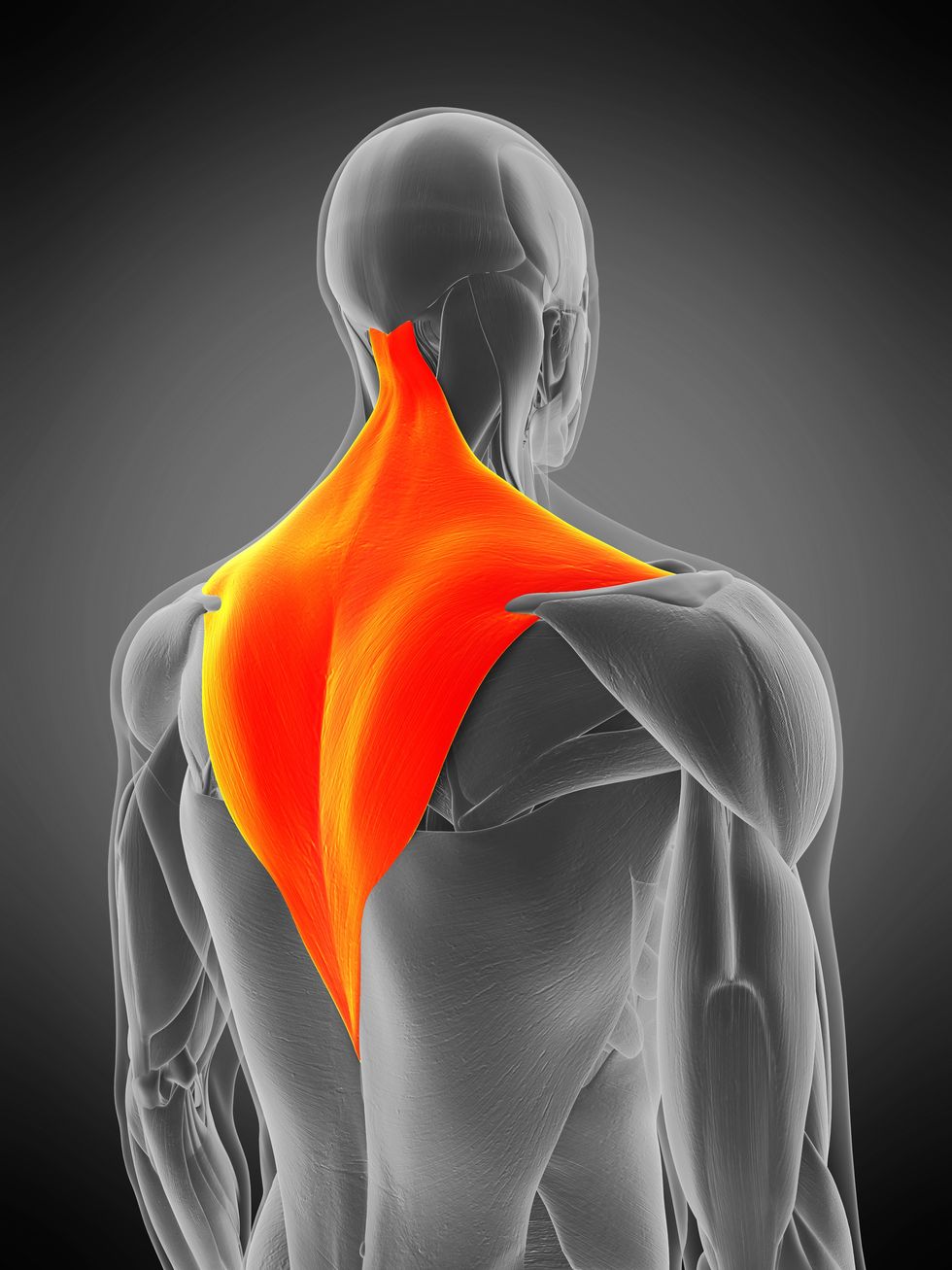 Get Your Shoulders Back on Track: Treating Trapezius Muscle Injuries