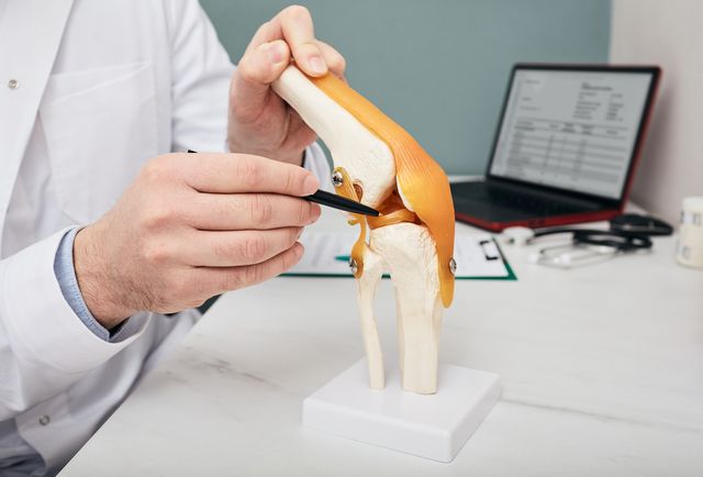 traumatologist pointing pen to meniscus in a knee joint anatomical teaching model, close up human torn meniscus treatment concept