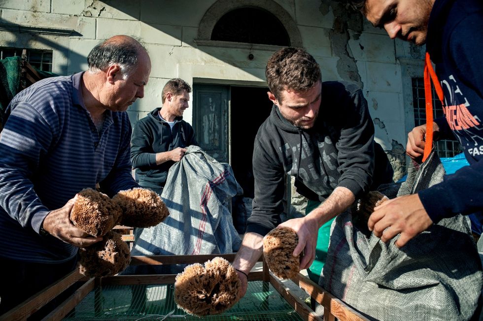 Op Kalymnos worden natuursponzen nu vooral van elders gemporteerd maar dankzij de aanwezige expertise op het eiland is de verwerking van en handel in de sponzen nog altijd een belangrijke economische activiteit