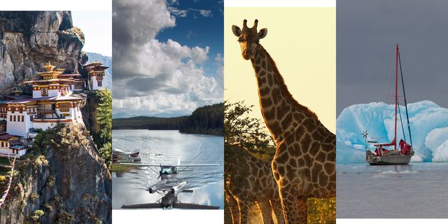 Giraffe, Giraffidae, Wildlife, Adaptation, Terrestrial animal, Organism, Tourism, Travel, Stock photography, Collage, 