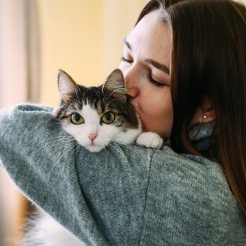 woman holding a cat