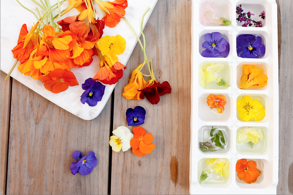 flowers in an ice cube tray