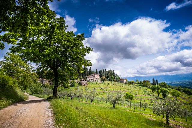 trebbio, firenze trekking via degli dei