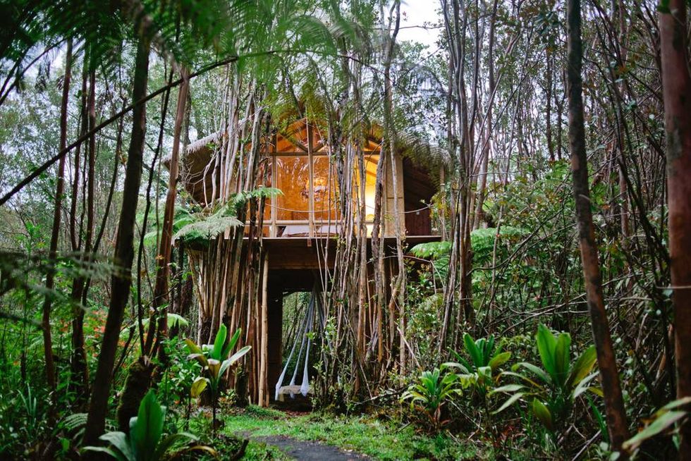 Airbnb/ Dreamy Tropical Tree House