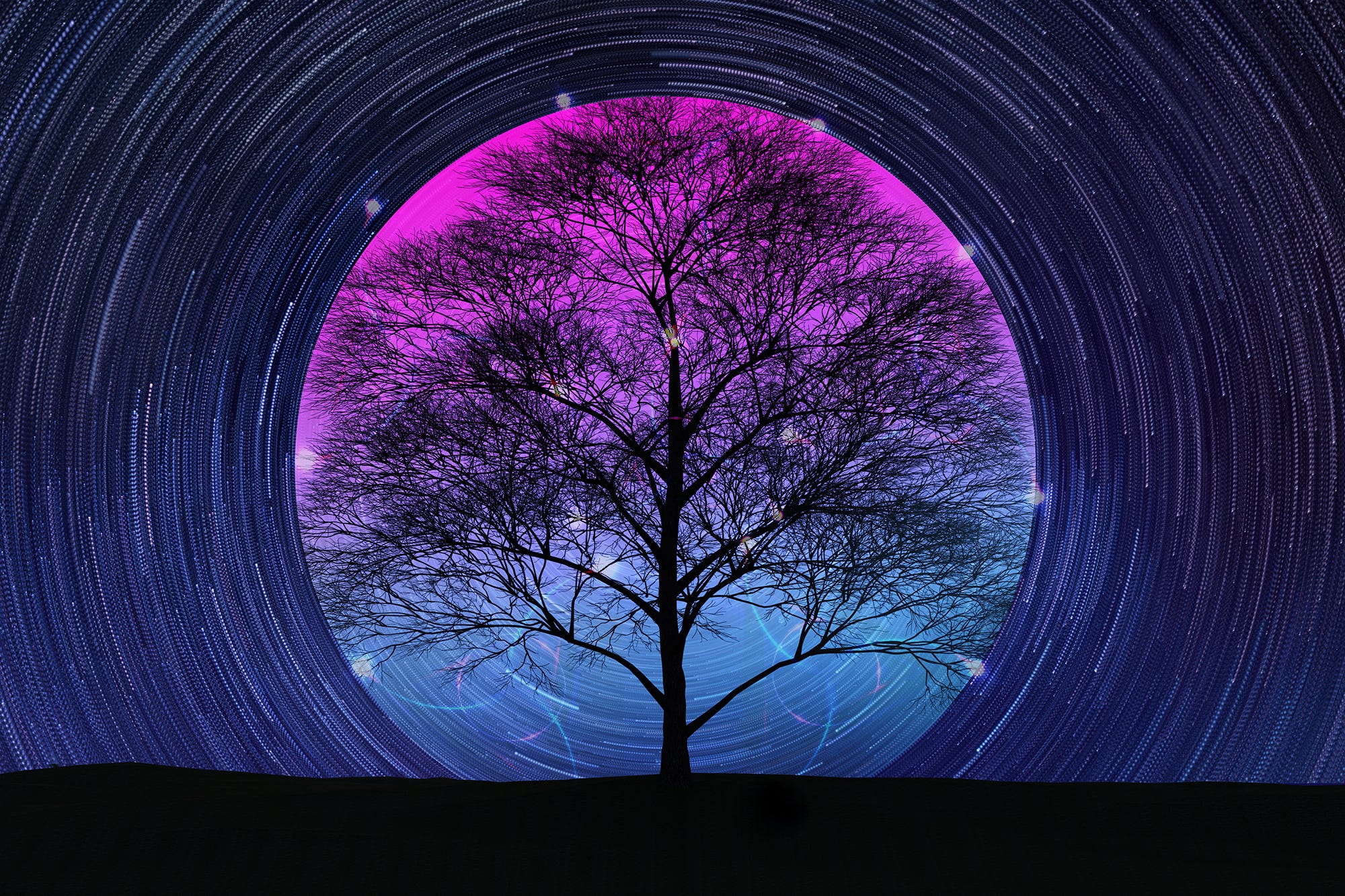 tree-3-number-1677517720.jpg