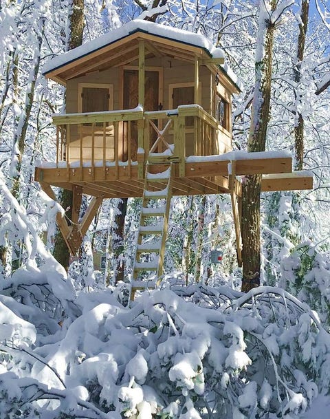 treehouse in the snow