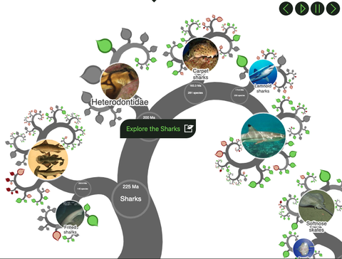 tree of life screenshot