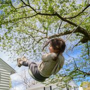 young girl playing on tree swing