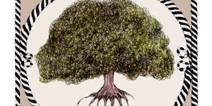 Tree, Botany, Plant, Woody plant, Arbor day, Illustration, Label, 